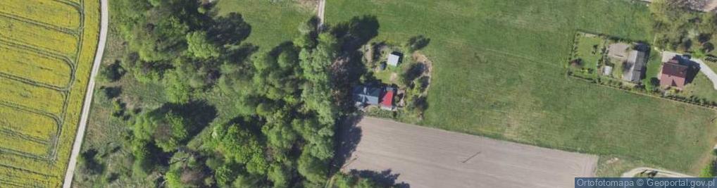 Zdjęcie satelitarne Krzywa ul.