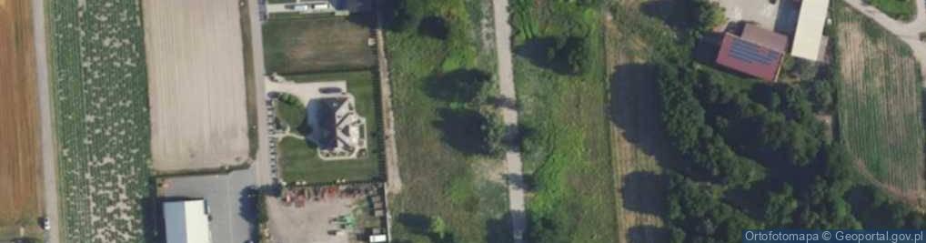 Zdjęcie satelitarne Krokusowa ul.