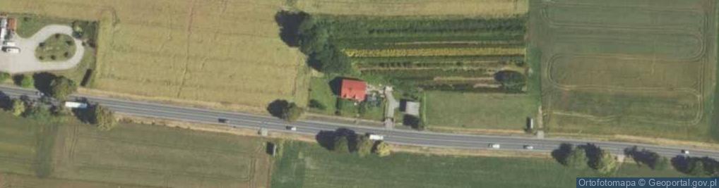 Zdjęcie satelitarne Krakowska ul.