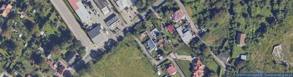 Zdjęcie satelitarne Krzywa ul.
