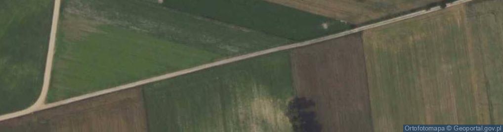 Zdjęcie satelitarne Krzywa ul.