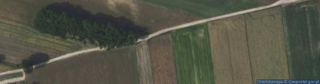 Zdjęcie satelitarne Krzywa ul.