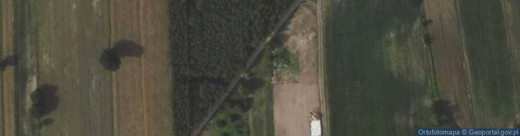 Zdjęcie satelitarne Krzywa ul.