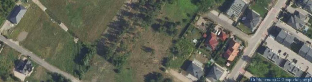 Zdjęcie satelitarne Krzywa ul.
