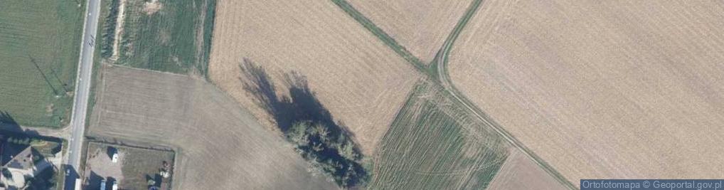 Zdjęcie satelitarne Krótka ul.