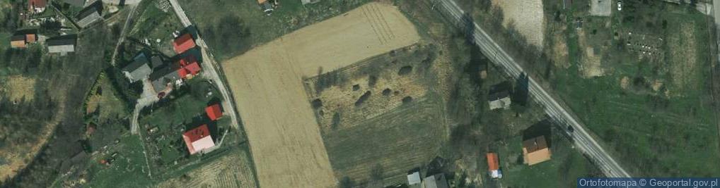 Zdjęcie satelitarne Krzeszowicka ul.