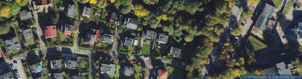 Zdjęcie satelitarne Krzywa ul.
