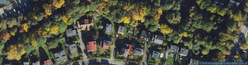 Zdjęcie satelitarne Krzywa ul.