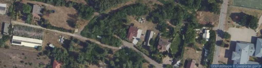Zdjęcie satelitarne Krzywa ul.