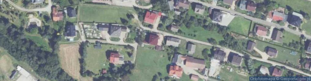 Zdjęcie satelitarne Krzywa ul.