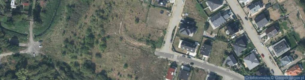 Zdjęcie satelitarne Krzewinkowa ul.