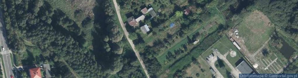 Zdjęcie satelitarne Krucza ul.