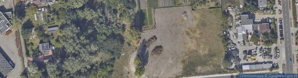Zdjęcie satelitarne Króla Władysława Łokietka ul.
