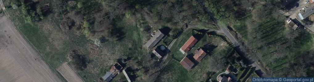 Zdjęcie satelitarne Krzywa ul.