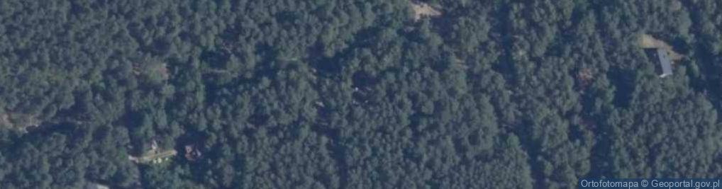 Zdjęcie satelitarne Kraszewskiego Józefa Ignacego ul.