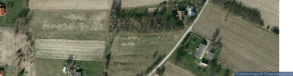 Zdjęcie satelitarne Krzywa ul.