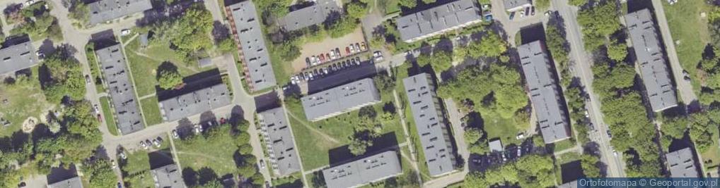 Zdjęcie satelitarne Krzywoń Anieli ul.