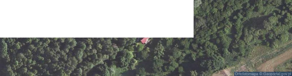 Zdjęcie satelitarne Ksawerów ul.