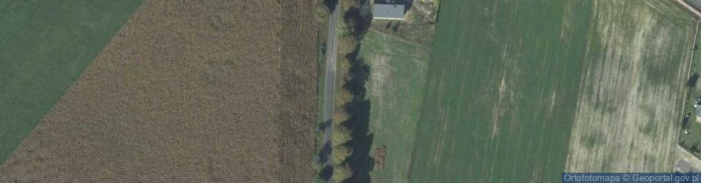 Zdjęcie satelitarne Kumowska ul.