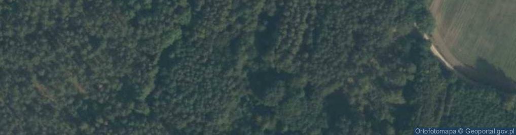Zdjęcie satelitarne Kucharowo ul.