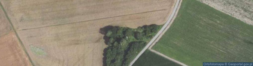 Zdjęcie satelitarne Kunice ul.