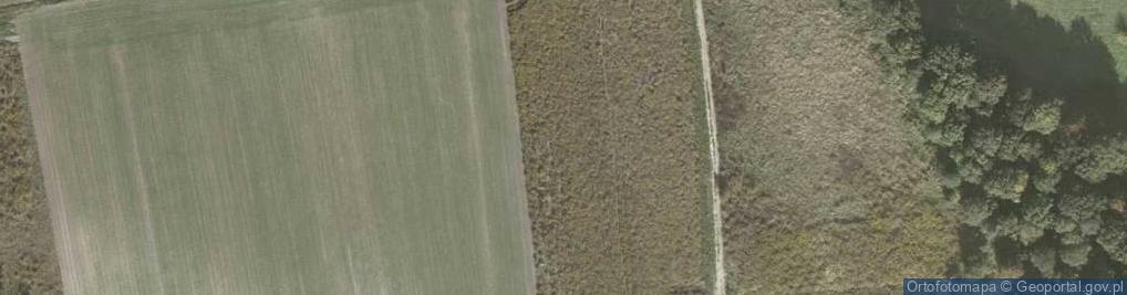 Zdjęcie satelitarne Kunów ul.