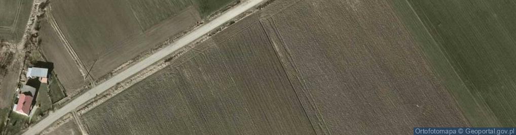 Zdjęcie satelitarne Kurczów ul.
