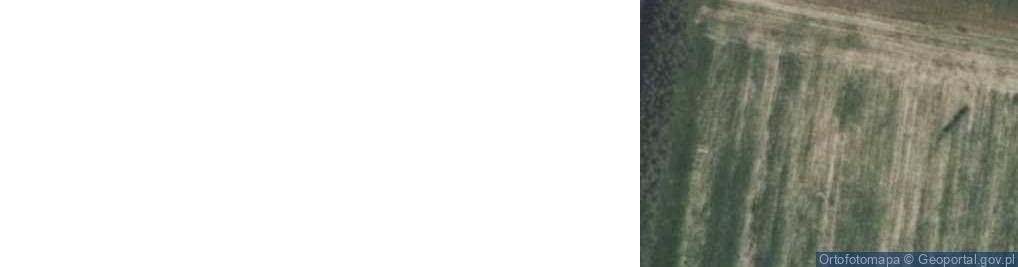 Zdjęcie satelitarne Kurdwanów ul.