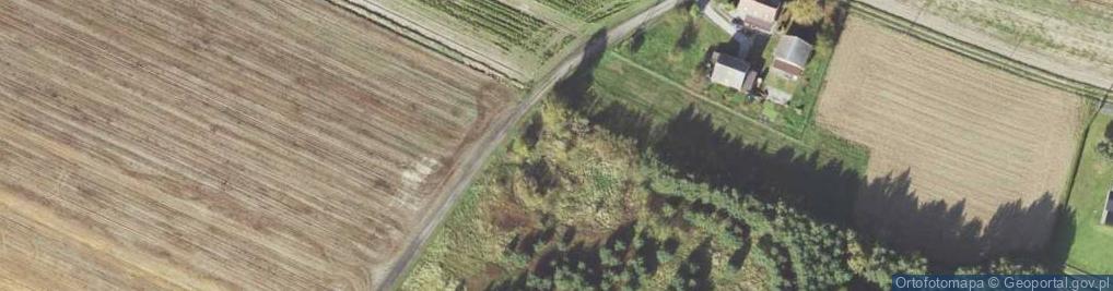 Zdjęcie satelitarne Kuźnicka ul.