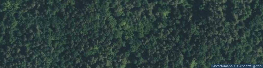 Zdjęcie satelitarne Kwaśniówka ul.