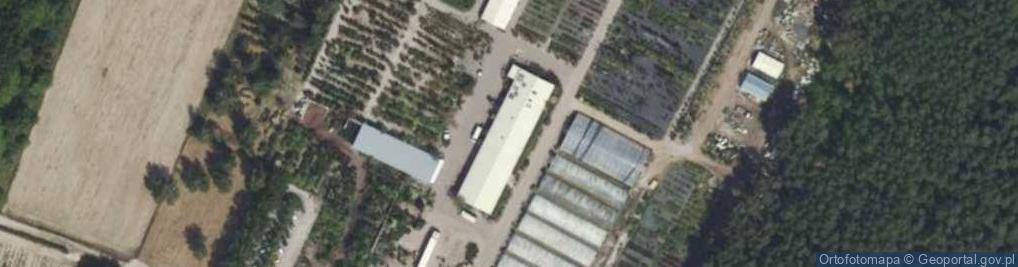 Zdjęcie satelitarne Kwitnąca ul.