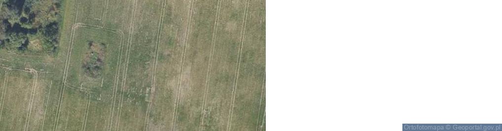 Zdjęcie satelitarne Kwieciszewo ul.