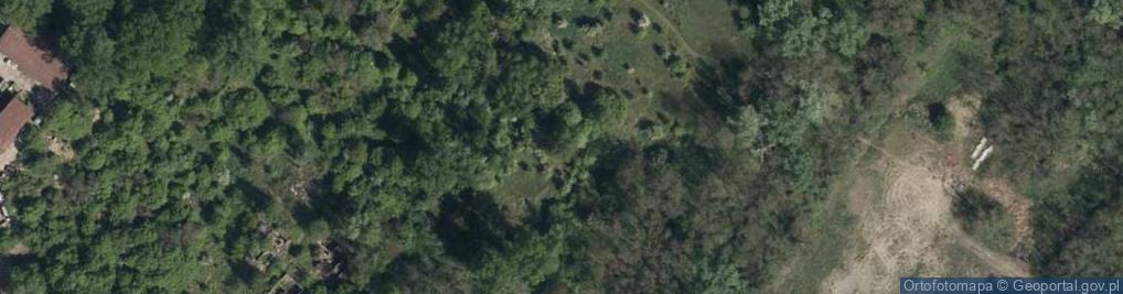 Zdjęcie satelitarne Kwidzyńska ul.