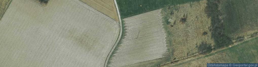 Zdjęcie satelitarne Łąkowa ul.