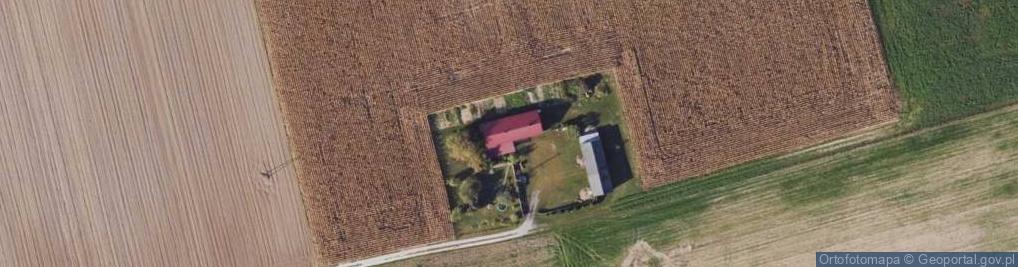 Zdjęcie satelitarne Łabędzin ul.