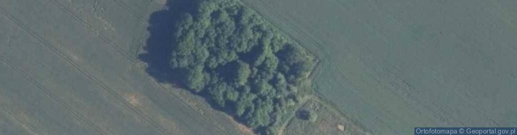 Zdjęcie satelitarne Ładzin ul.