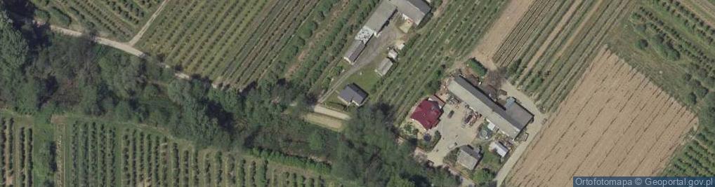 Zdjęcie satelitarne Las Dębowy ul.