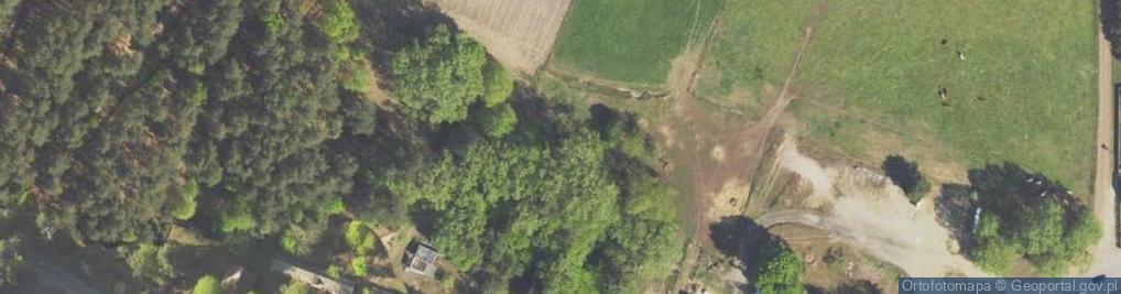 Zdjęcie satelitarne Laski ul.