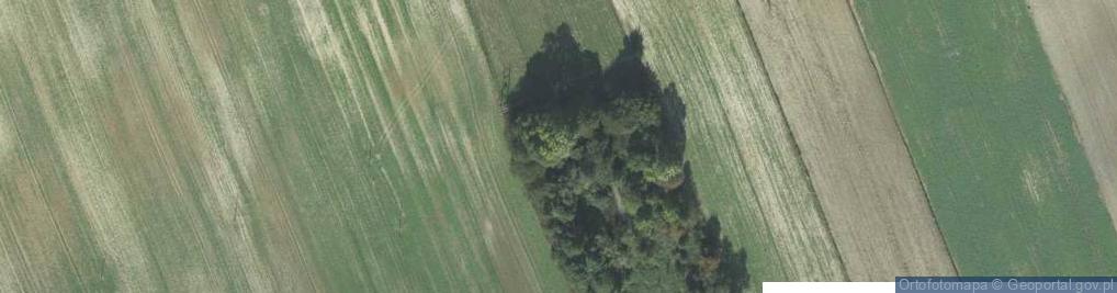 Zdjęcie satelitarne Łasków ul.