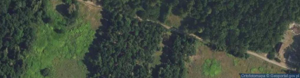 Zdjęcie satelitarne Łazy Leśne ul.