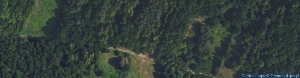 Zdjęcie satelitarne Łazy Leśne ul.