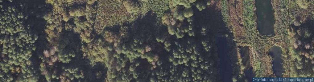 Zdjęcie satelitarne Łąkowa ul.