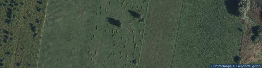 Zdjęcie satelitarne Laskowa ul.