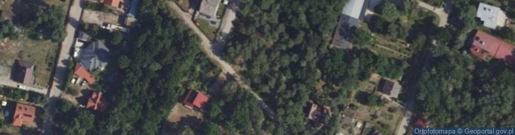 Zdjęcie satelitarne Lachmana ul.