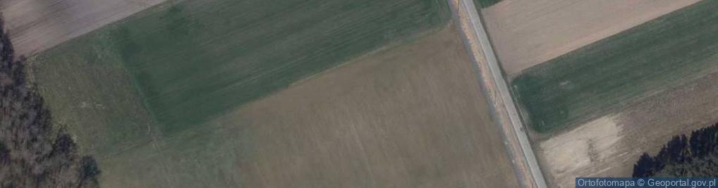Zdjęcie satelitarne Laski Dolne ul.