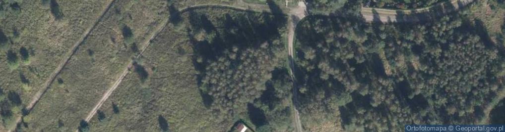 Zdjęcie satelitarne Ładna ul.