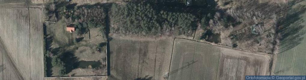 Zdjęcie satelitarne Leśna ul.