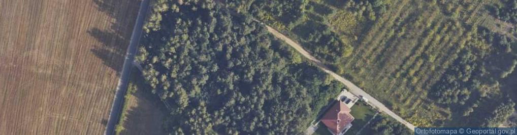 Zdjęcie satelitarne Leśna ul.