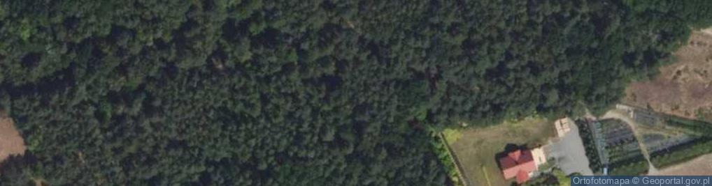 Zdjęcie satelitarne Leśna ul.