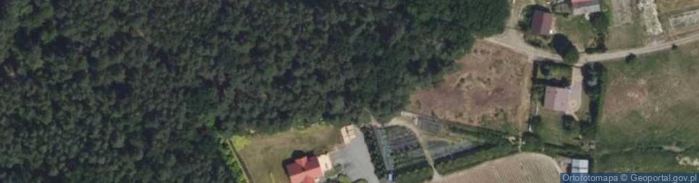 Zdjęcie satelitarne Leśna ul.